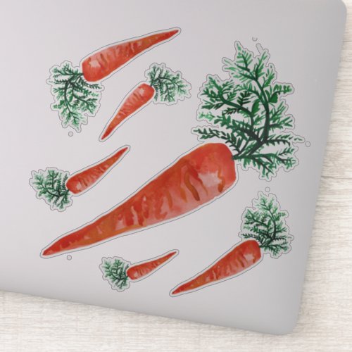 Carrot Collection root vegetable Watercolor Art Sticker