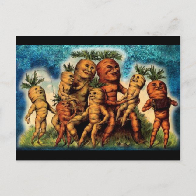 Carrot Family Weirdness Postcard (Front)