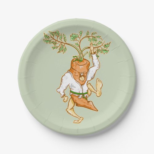 CARROT KARATE KICK PAPER PLATES