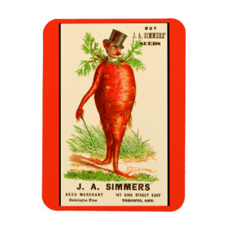 carrot man Victorian trade card Magnet