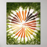 Carrot Poster at Zazzle
