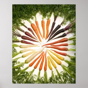 Carrot Poster by Uncomplicated at Zazzle