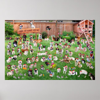 Carrot Top Bunny Daycare 2015 Poster