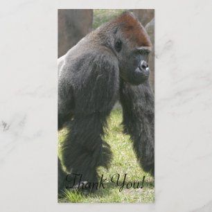 Carrot Topped Gorilla With Fluffy Arms Thank You Card