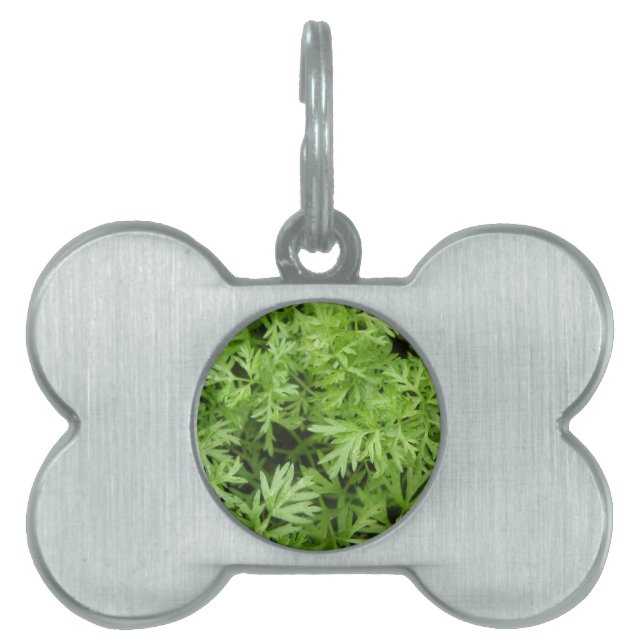 Carrot Tops Pet Tag (Front)