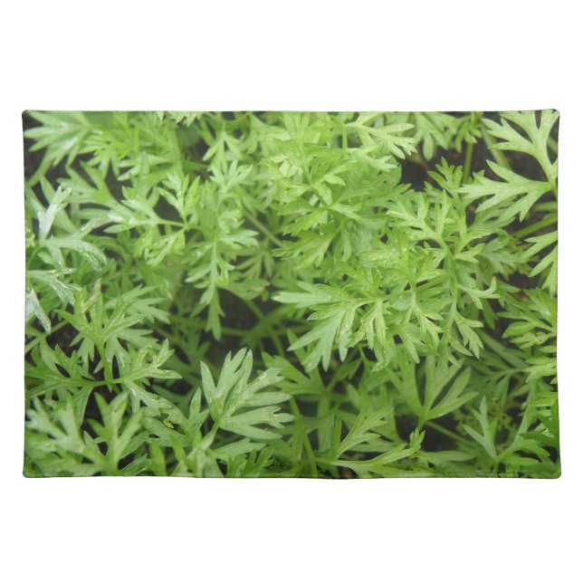 Carrot Tops Placemat (Front)