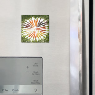 Carrot Vegetables Colorful Rainbow Pattern Garden Magnet