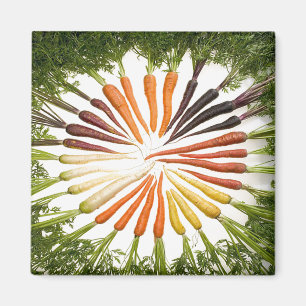 Carrot Vegetables Colorful Rainbow Pattern Garden Magnet