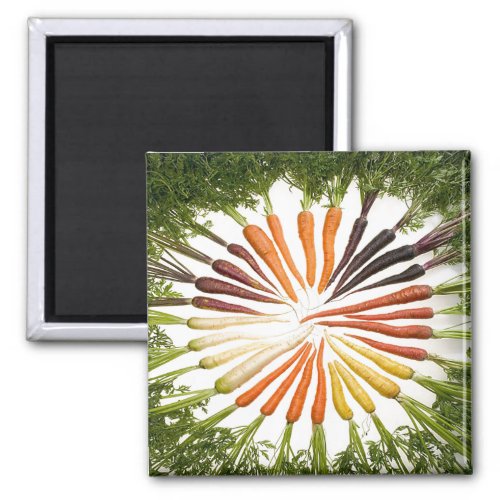 Carrot Vegetables Colorful Rainbow Pattern Garden Magnet