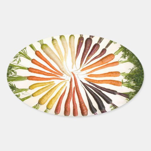 Carrot Vegetables Colorful Rainbow Pattern Garden Oval Sticker