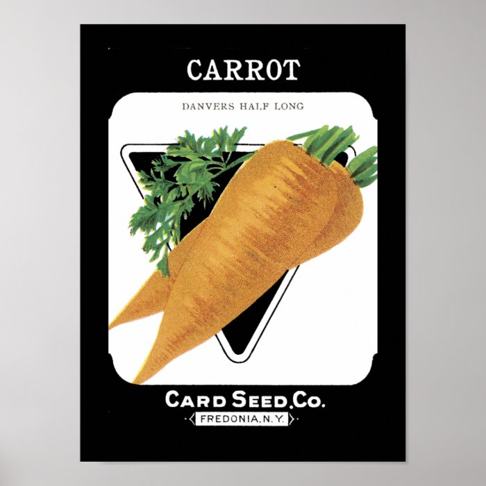 Carrot Vintage Seed Packet Poster