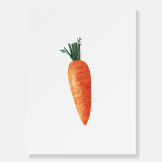 Carrot Watercolor Foam Board