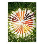 Carrots (Front)