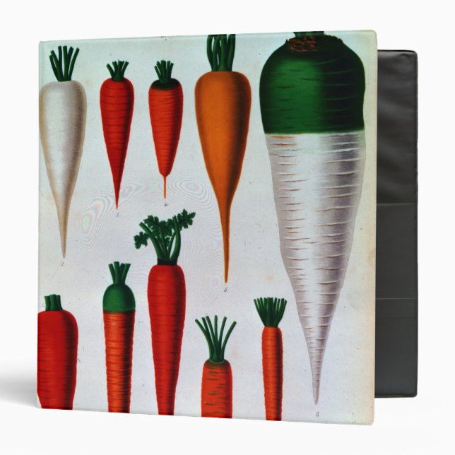 Carrots 3 Ring Binder (Front/Inside)