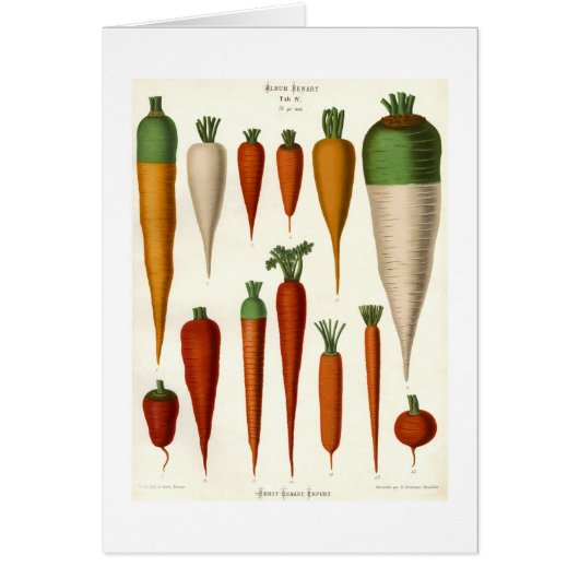 Carrots Cards (Front)