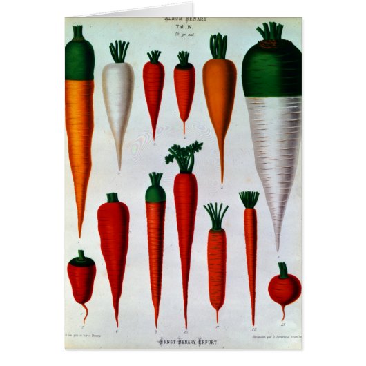 Carrots Cards (Front)