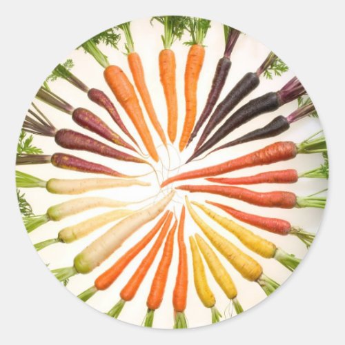 Carrots Classic Round Sticker