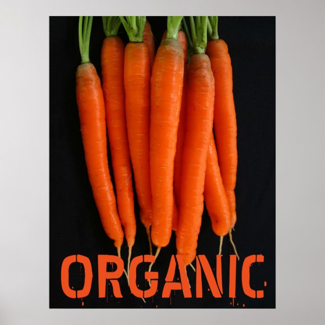 Carrots Fresh from the Garden Poster (Front)