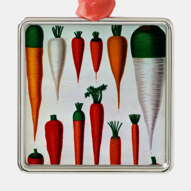 Carrots Metal Ornament (Front)
