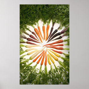 Carrots of Many Colors on Canvas Poster