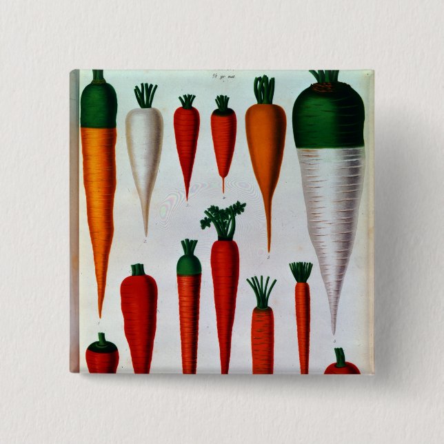 Carrots Pinback Button (Front)