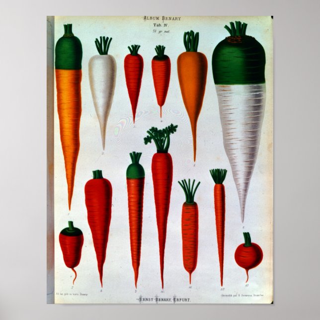 Carrots Poster (Front)