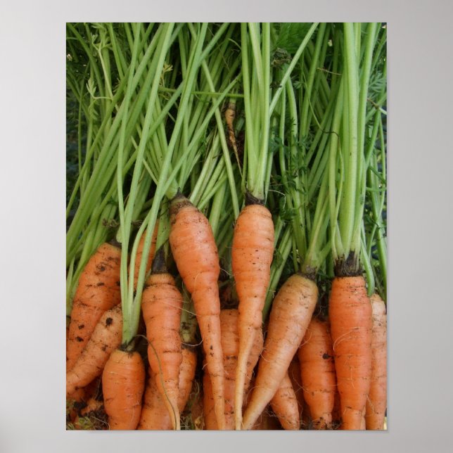 Carrots Poster (Front)