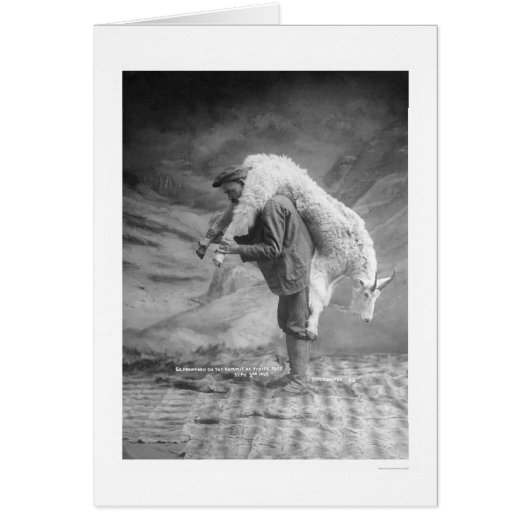 Carrying Goat Alaska 1905 (Front)