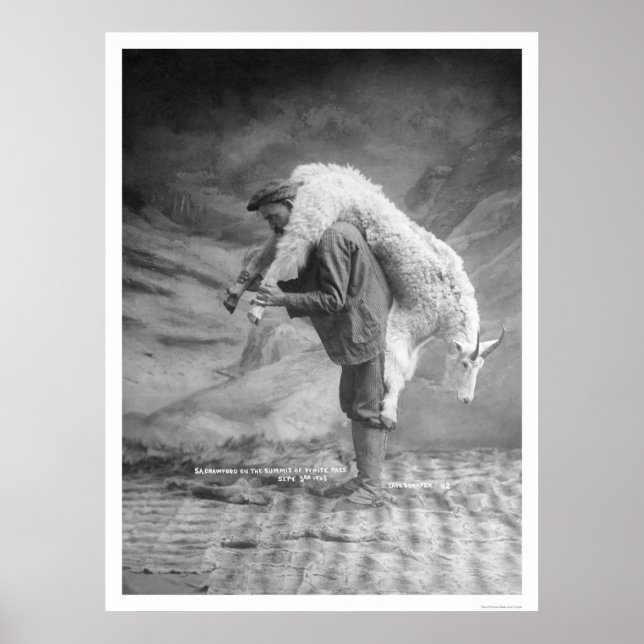 Carrying Goat Alaska 1905 Poster (Front)