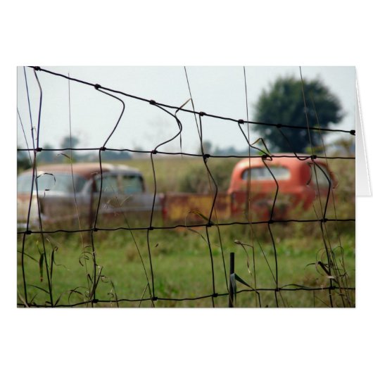 Cars and Trucks Rust Away in a Rural Field Cards (Front Horizontal)