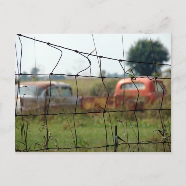 Cars and Trucks Rust Away in a Rural Field Postcard (Front)
