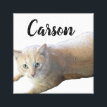Carson Canvas Print<br><div class="desc">image of my kitty</div>