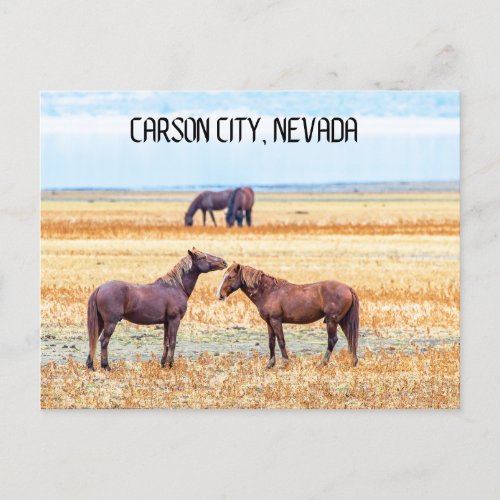 Carson City Nevada Souvenir Postcard Horses