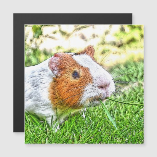 CArt Guinea Pig (Front/Back)