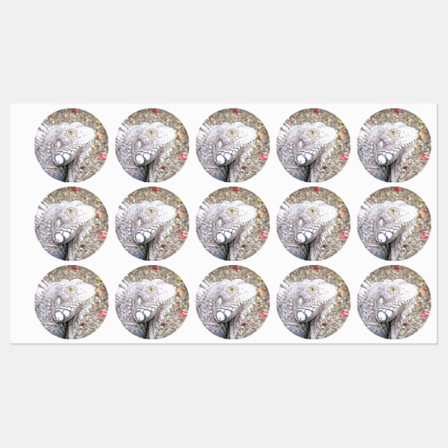 CArt Iguana Labels (Sheet)