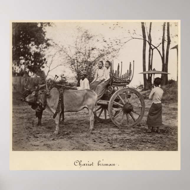 Cart pulled by two oxen at Mandalay, Burma Poster (Front)