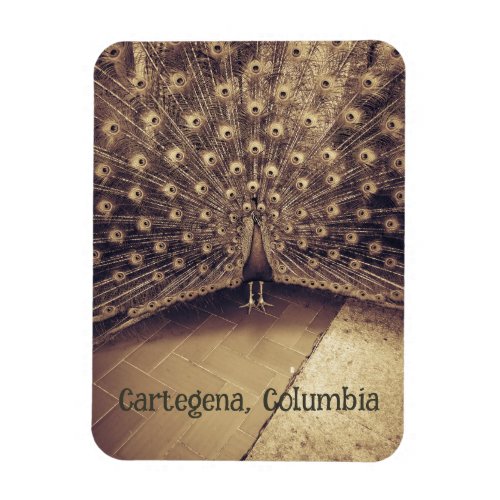 Cartagena Columbia Magnet