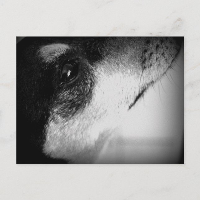 Cartão Postal: Thor Postcard (Front)