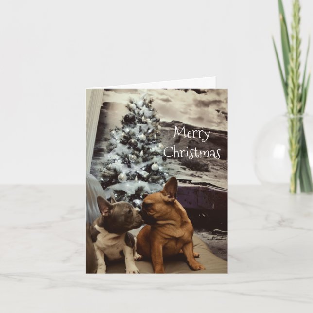 carte de voeux holiday card (Front)