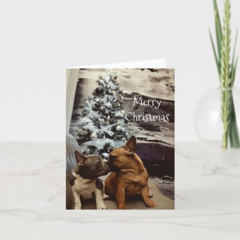 Carte De Voeux Holiday Card by Virginiespuppies at Zazzle
