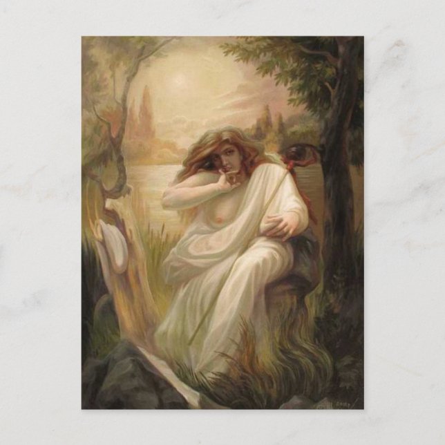 Carte illusion Visage 3 Postcard (Front)