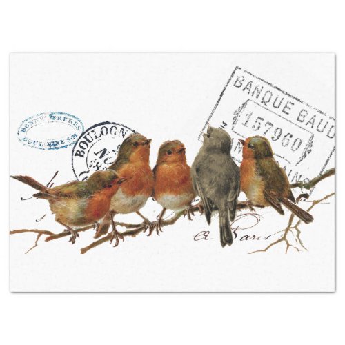Carte Postale Bird European Robins French Vintage Tissue Paper