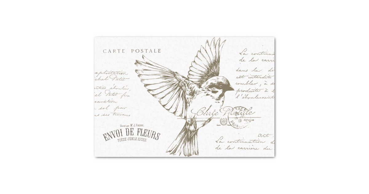 Carte Postale Bird French Script Sepia Tissue Paper Zazzle Com
