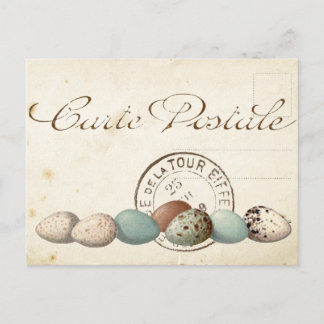 Carte Postale Bird Set 1 of 4 (Postmark Eggs) Postcard