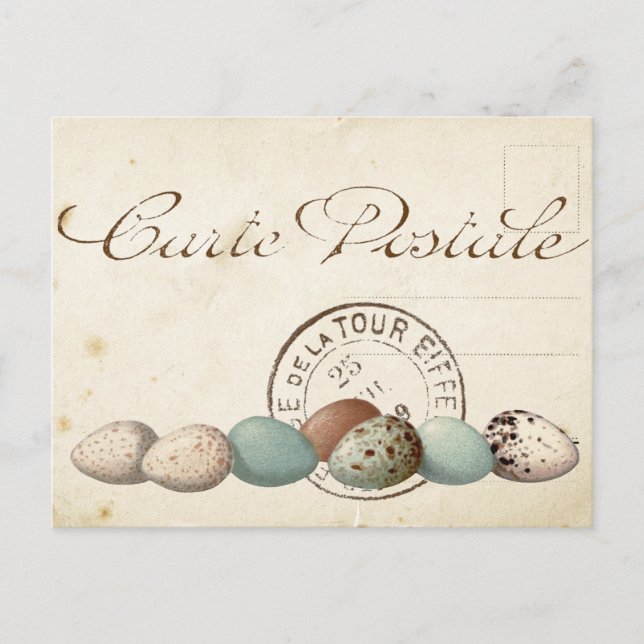 Carte Postale Bird Set 1 of 4 (Postmark Eggs) Postcard (Front)
