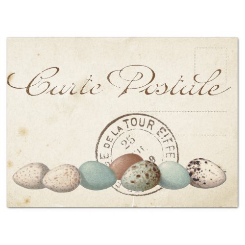 Carte Postale Bird Set 1 of 4 Postmark Eggs Tissue Paper