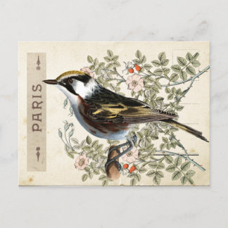 Carte Postale Bird Set 2 of 4 (Paris Rose Bird) Postcard