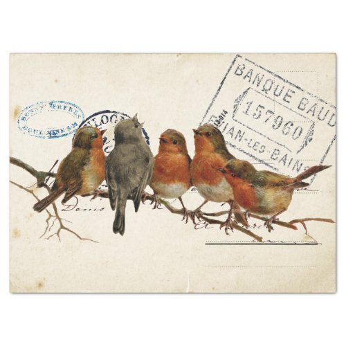 Carte Postale Bird Set 3 of 4 European Robins Flip Tissue Paper