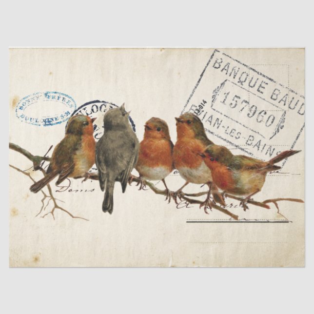 Carte Postale Bird Set 3 of 4 European Robins Flip Tissue Paper (Front)