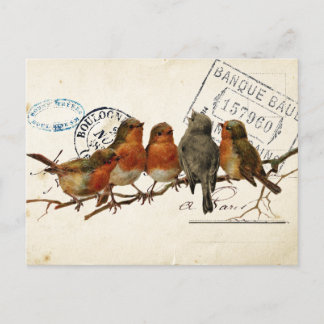 Carte Postale Bird Set 3 of 4 (European Robins) Postcard